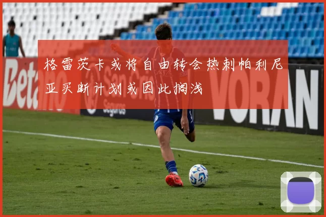 格雷茨卡或将自由转会热刺帕利尼亚买断计划或因此搁浅