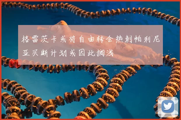 格雷茨卡或将自由转会热刺帕利尼亚买断计划或因此搁浅
