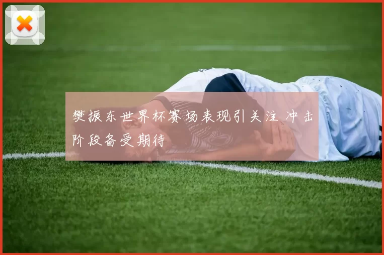 樊振东世界杯赛场表现引关注 冲击阶段备受期待