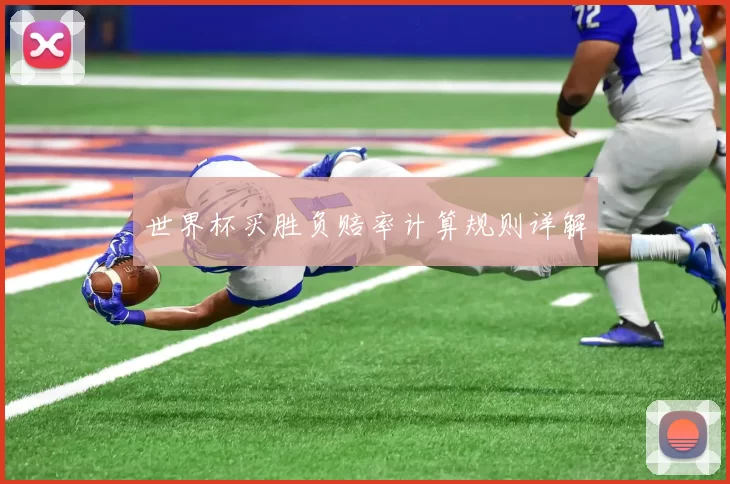 世界杯买胜负赔率计算规则详解