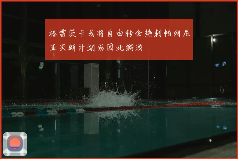 格雷茨卡或将自由转会热刺帕利尼亚买断计划或因此搁浅