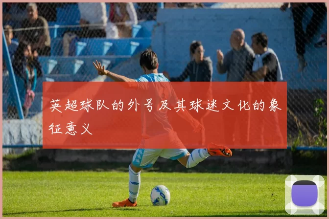 英超球队的外号及其球迷文化的象征意义