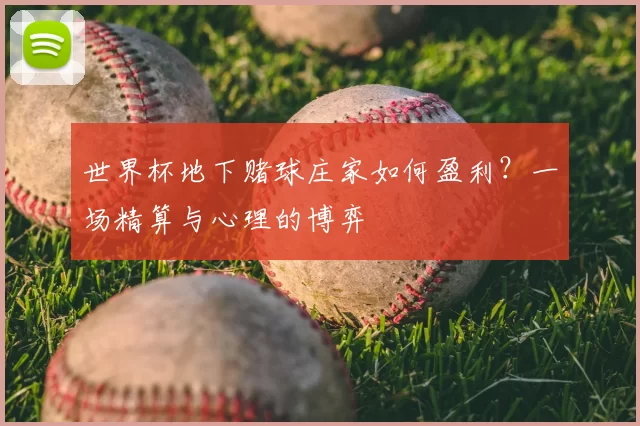 世界杯地下赌球庄家如何盈利?一场精算与心理的博弈