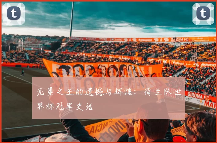 无冕之王的遗憾与辉煌：荷兰队世界杯冠军史话