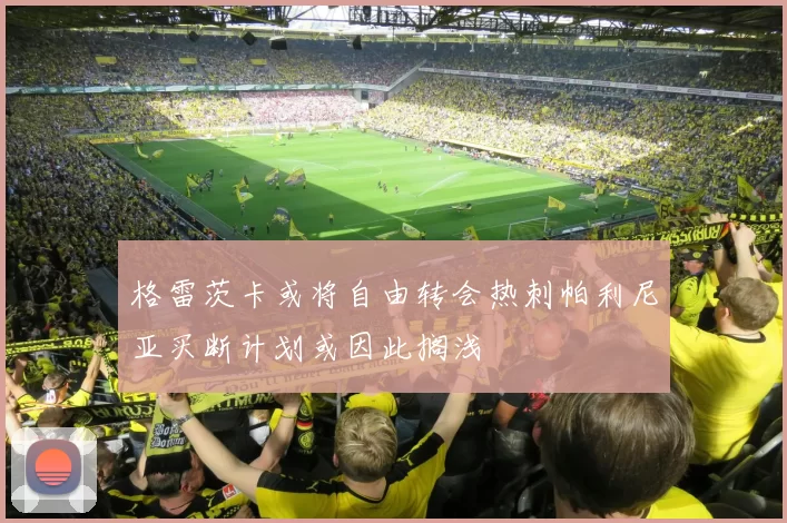 格雷茨卡或将自由转会热刺帕利尼亚买断计划或因此搁浅