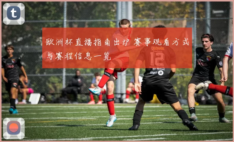 欧洲杯直播指南出炉 赛事观看方式与赛程信息一览