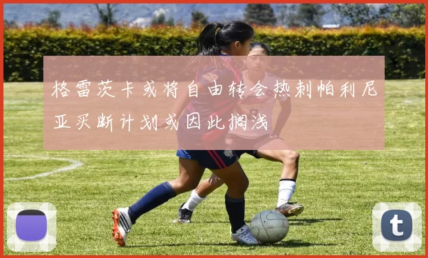 格雷茨卡或将自由转会热刺帕利尼亚买断计划或因此搁浅