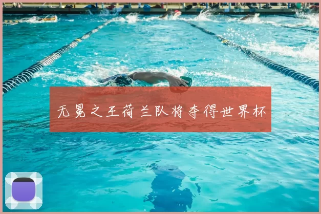 无冕之王荷兰队将夺得世界杯