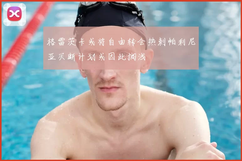格雷茨卡或将自由转会热刺帕利尼亚买断计划或因此搁浅