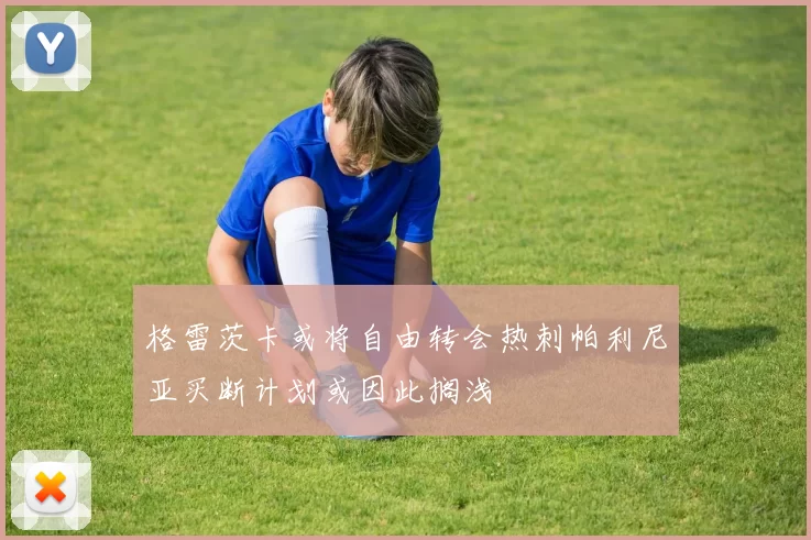 格雷茨卡或将自由转会热刺帕利尼亚买断计划或因此搁浅