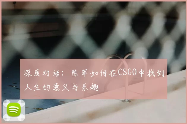 深度对话：陈军如何在CSGO中找到人生的意义与乐趣