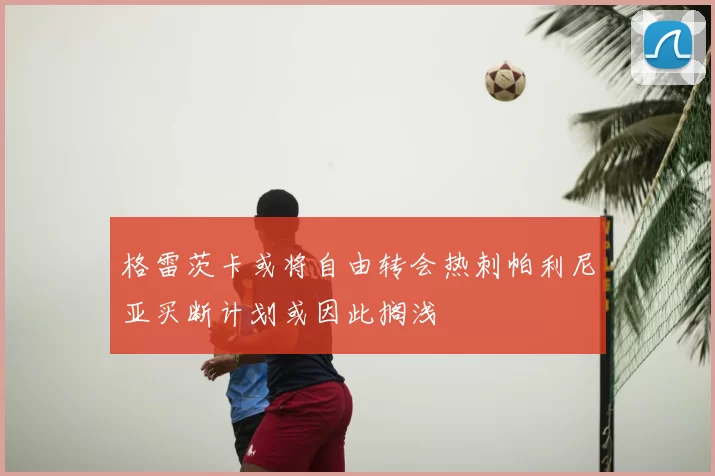 格雷茨卡或将自由转会热刺帕利尼亚买断计划或因此搁浅