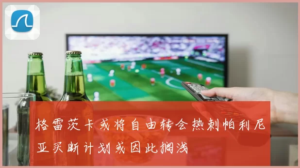 格雷茨卡或将自由转会热刺帕利尼亚买断计划或因此搁浅